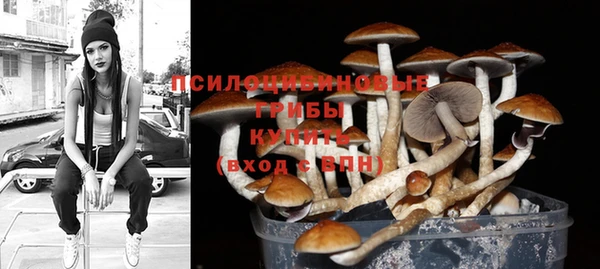 MESCALINE Лабытнанги